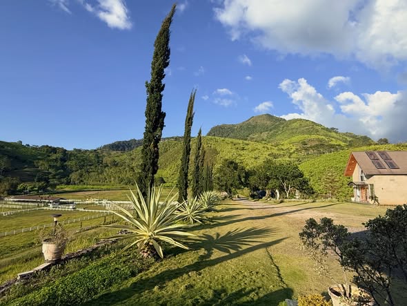 The estate spread across its ridge, buildings among planting and open grass