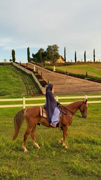 A rider walking a chestnut horse along the terraced hillside