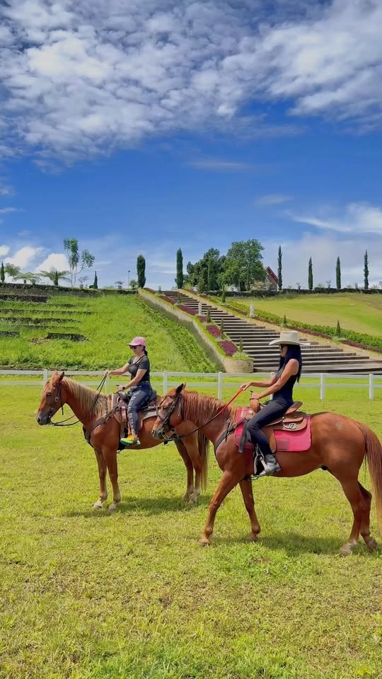 Two riders halted on the grass below the estate’s grand staircase