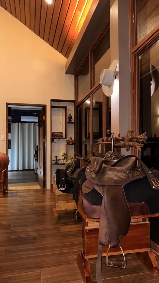 Saddles on a rack in a warm timber-lined room