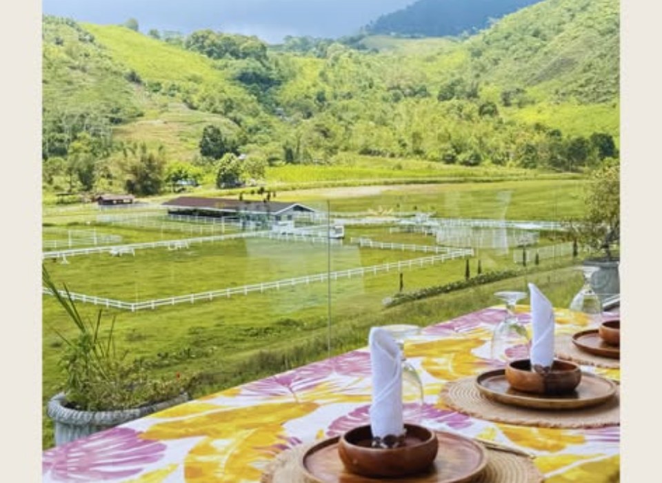 A laid breakfast table on the terrace looking over the paddocks to green mountains